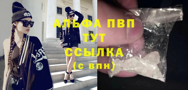 мет Алексин