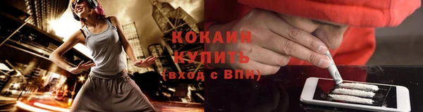 мяу мяу мука Абаза