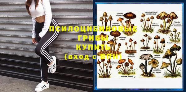 spice Абинск