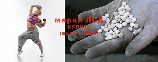 мяу мяу мука Абаза