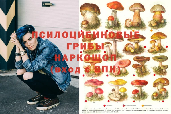 spice Абинск