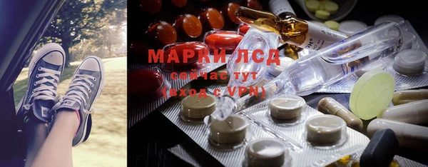 мет Алексин