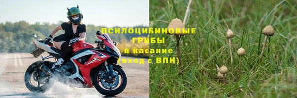 spice Абинск
